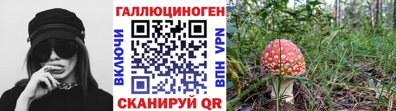 Псилоцибиновые грибы мухоморы  кракен tor  Руза  где можно купить наркотик 